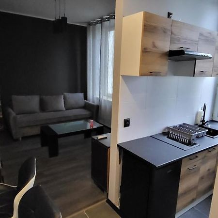 Apartament Pod Wieza Lejlighed Piotrków Trybunalski Eksteriør billede