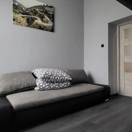 Apartament Pod Wieza Lejlighed Piotrków Trybunalski Eksteriør billede