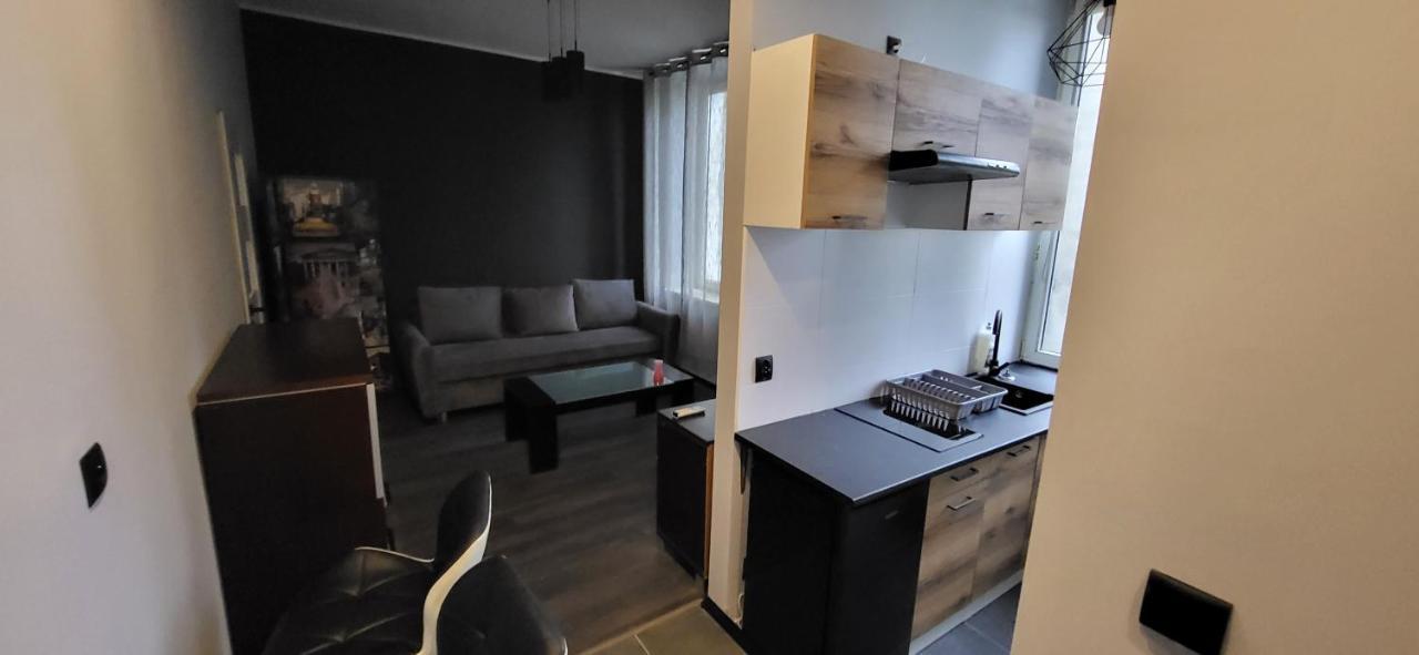 Apartament Pod Wieza Lejlighed Piotrków Trybunalski Eksteriør billede